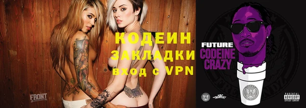 сатива Иннополис