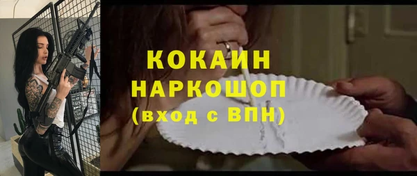 сатива Иннополис