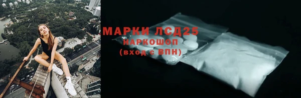 сатива Иннополис