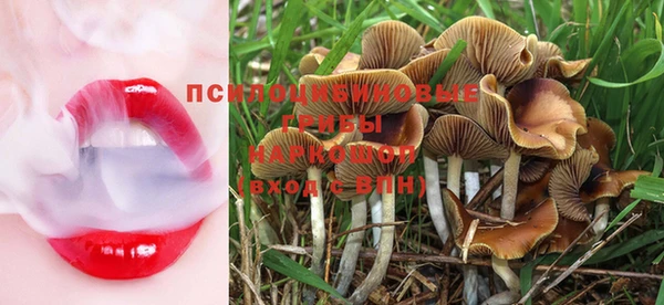 MESCALINE Инта