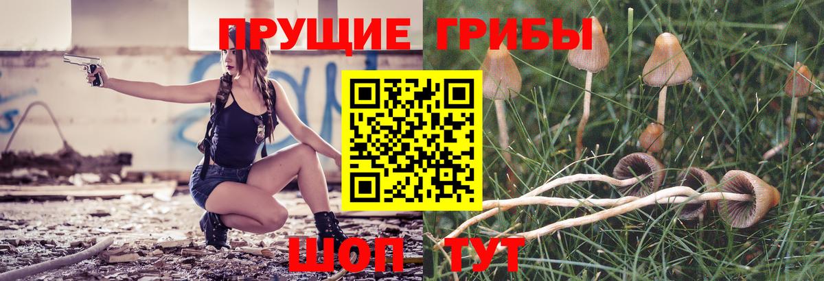 Галлюциногенные грибы прущие грибы  Галлюциногенные грибы Magic Shrooms  Вход с VPN  Карталы 