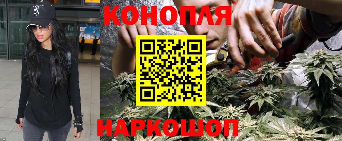Бошки Шишки гибрид Карталы